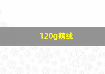 120g鹅绒