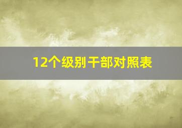 12个级别干部对照表