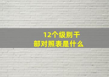 12个级别干部对照表是什么