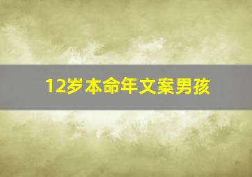 12岁本命年文案男孩