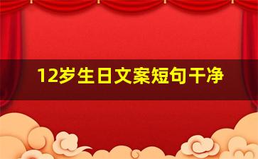 12岁生日文案短句干净