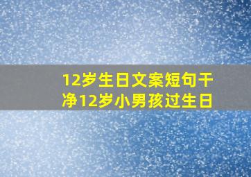 12岁生日文案短句干净12岁小男孩过生日