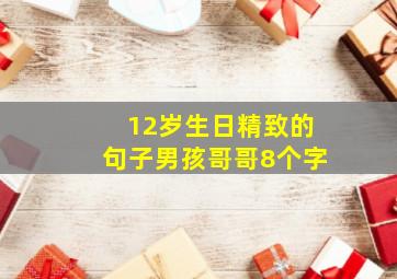 12岁生日精致的句子男孩哥哥8个字