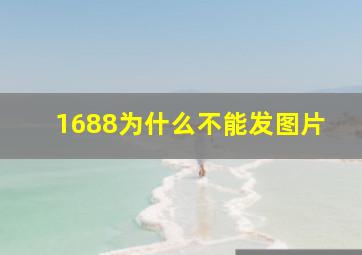 1688为什么不能发图片