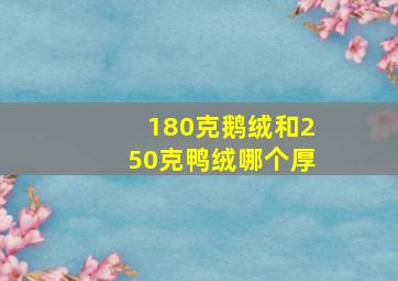 180克鹅绒和250克鸭绒哪个厚