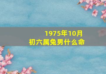 1975年10月初六属兔男什么命