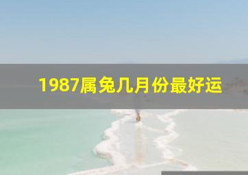 1987属兔几月份最好运