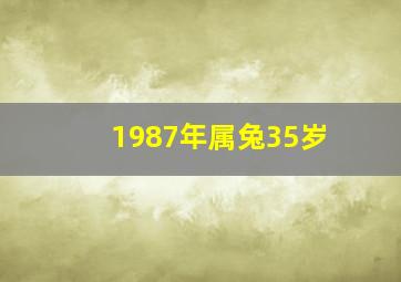 1987年属兔35岁