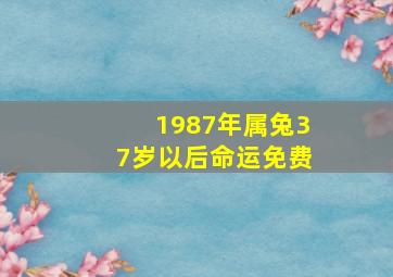 1987年属兔37岁以后命运免费