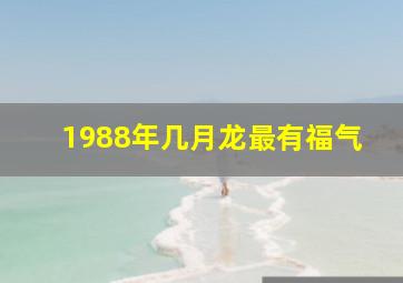 1988年几月龙最有福气