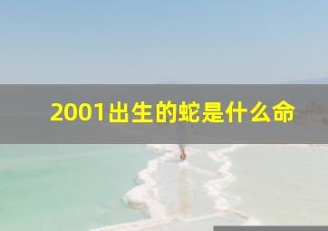 2001出生的蛇是什么命