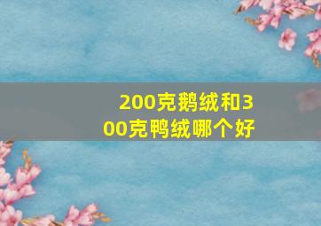 200克鹅绒和300克鸭绒哪个好