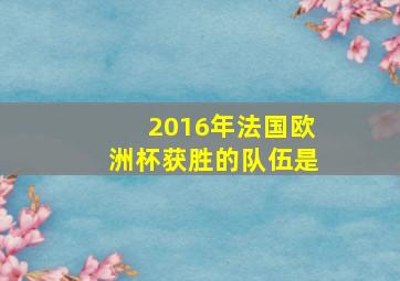 2016年法国欧洲杯获胜的队伍是