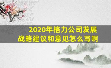 2020年格力公司发展战略建议和意见怎么写啊