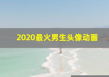 2020最火男生头像动画