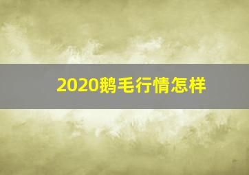 2020鹅毛行情怎样