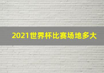 2021世界杯比赛场地多大