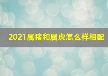 2021属猪和属虎怎么样相配