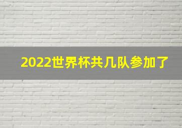 2022世界杯共几队参加了