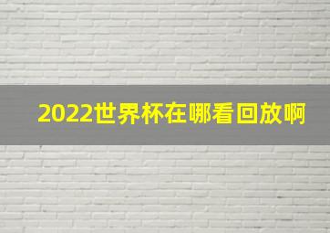 2022世界杯在哪看回放啊