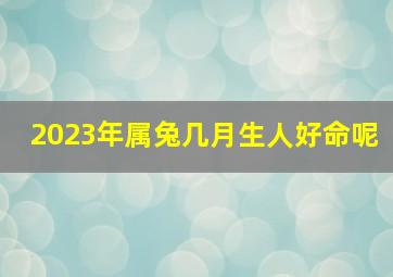 2023年属兔几月生人好命呢