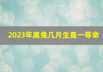 2023年属兔几月生是一等命