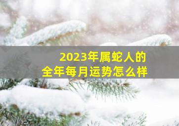 2023年属蛇人的全年每月运势怎么样