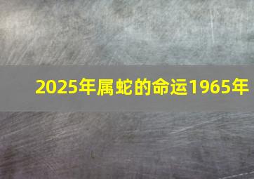 2025年属蛇的命运1965年