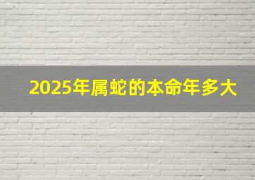 2025年属蛇的本命年多大