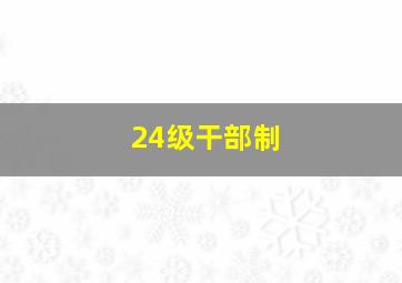 24级干部制