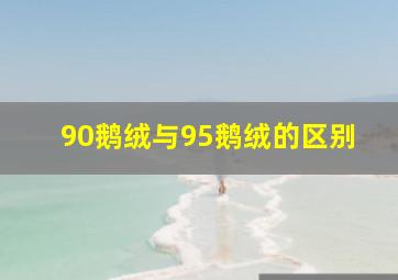 90鹅绒与95鹅绒的区别