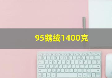 95鹅绒1400克