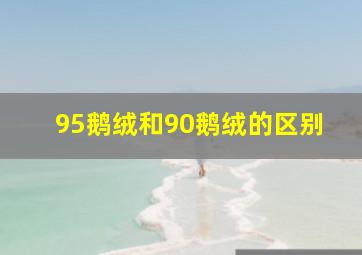 95鹅绒和90鹅绒的区别