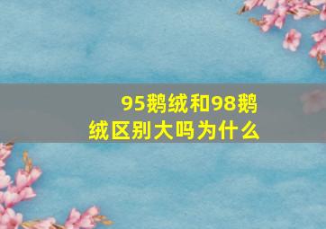 95鹅绒和98鹅绒区别大吗为什么