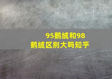 95鹅绒和98鹅绒区别大吗知乎