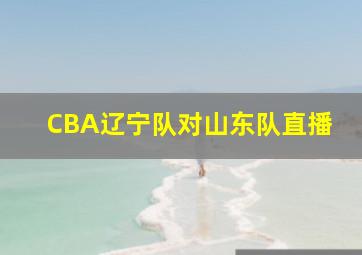 CBA辽宁队对山东队直播