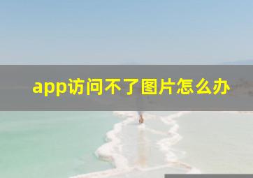 app访问不了图片怎么办