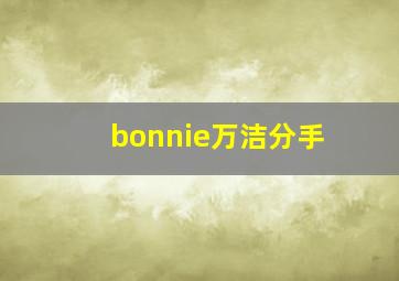 bonnie万洁分手