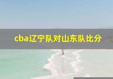 cba辽宁队对山东队比分