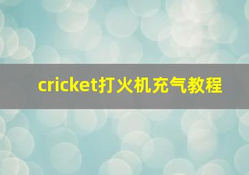 cricket打火机充气教程