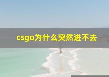 csgo为什么突然进不去