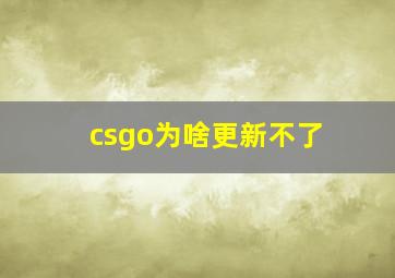 csgo为啥更新不了