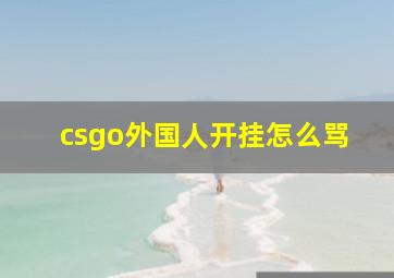 csgo外国人开挂怎么骂