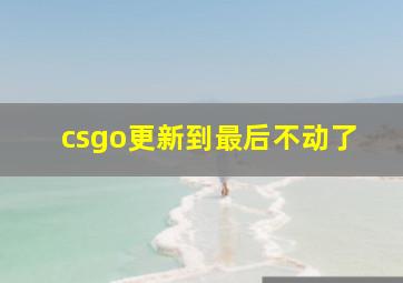 csgo更新到最后不动了