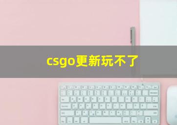 csgo更新玩不了