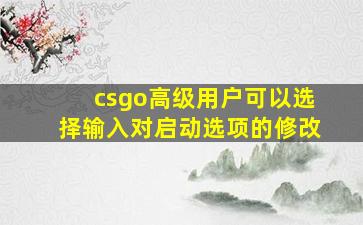 csgo高级用户可以选择输入对启动选项的修改