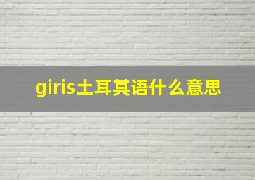 giris土耳其语什么意思