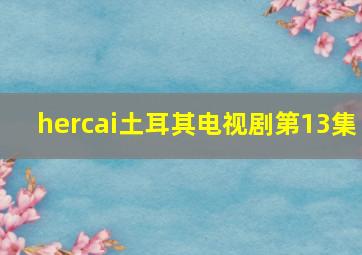 hercai土耳其电视剧第13集