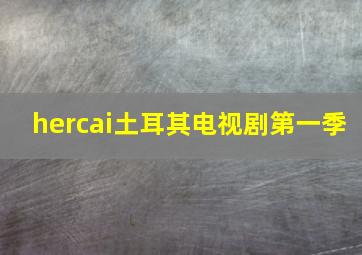 hercai土耳其电视剧第一季