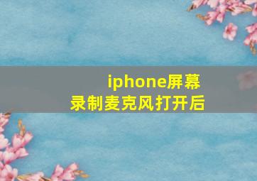 iphone屏幕录制麦克风打开后